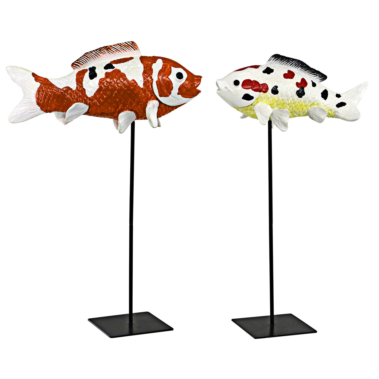 Premium Vector  Japan koi fish in showa coloration pattern