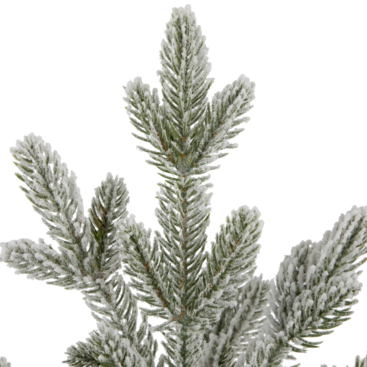 75 Unlit Christmas Tree