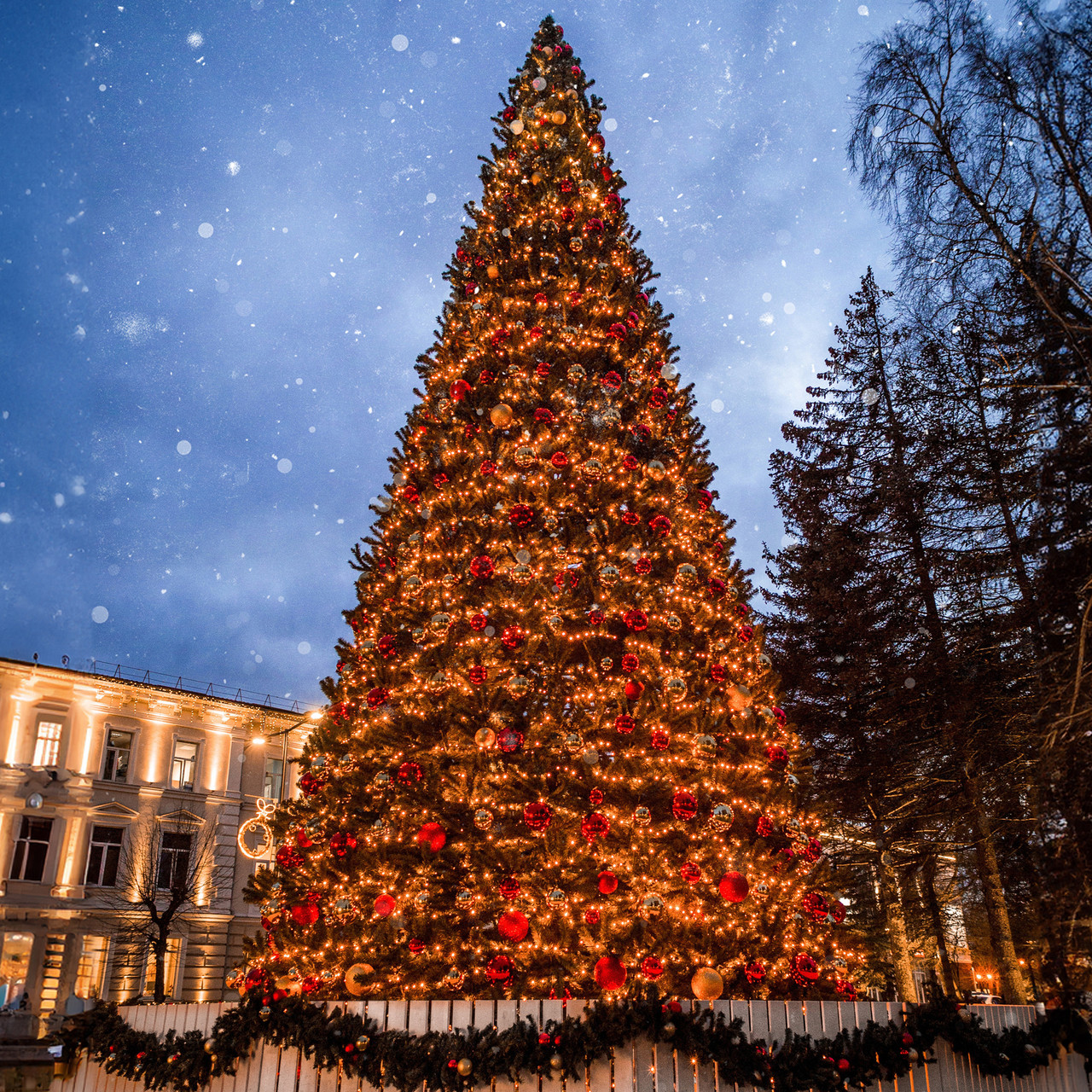 christmas tree pictures with lights