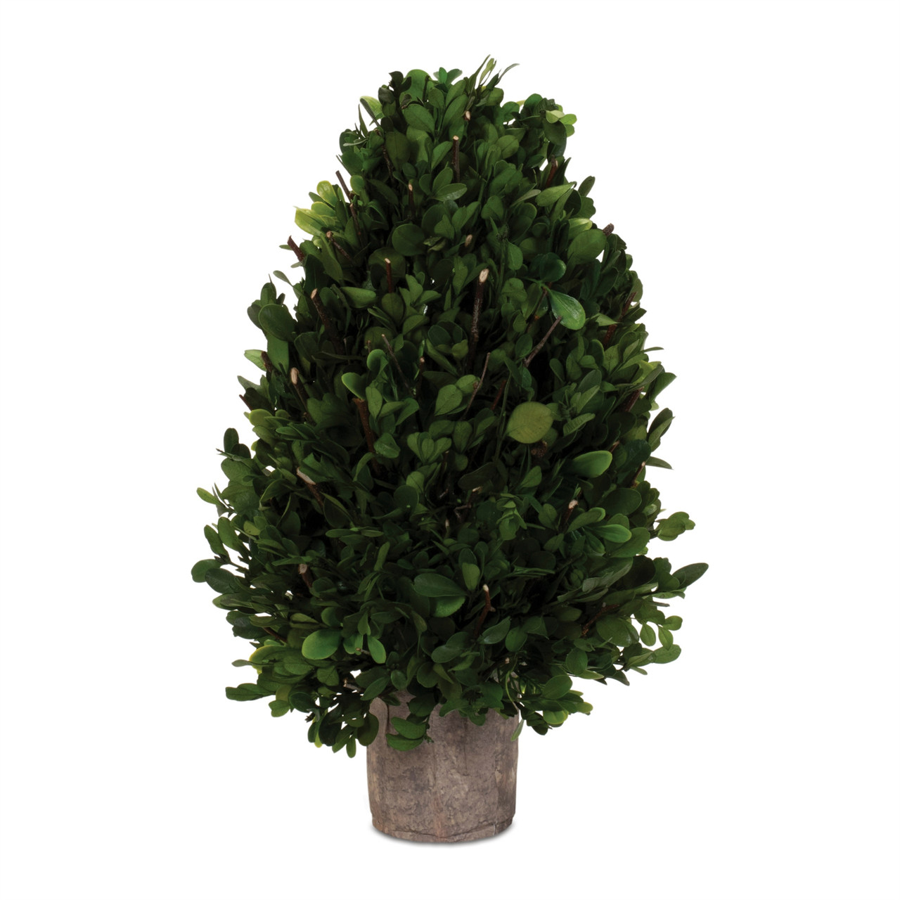 what is the plant rue Rue
