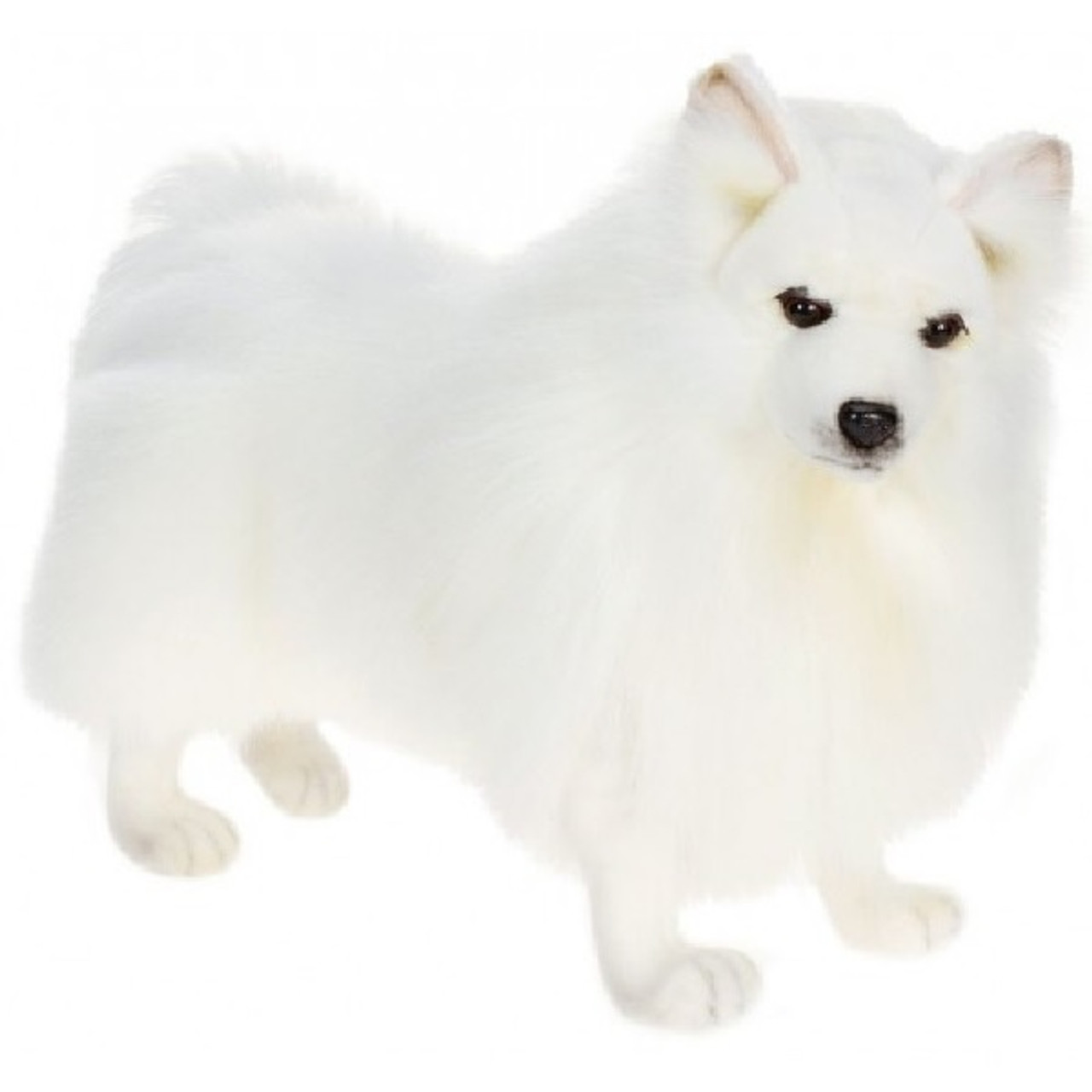 american eskimo stuffed animal