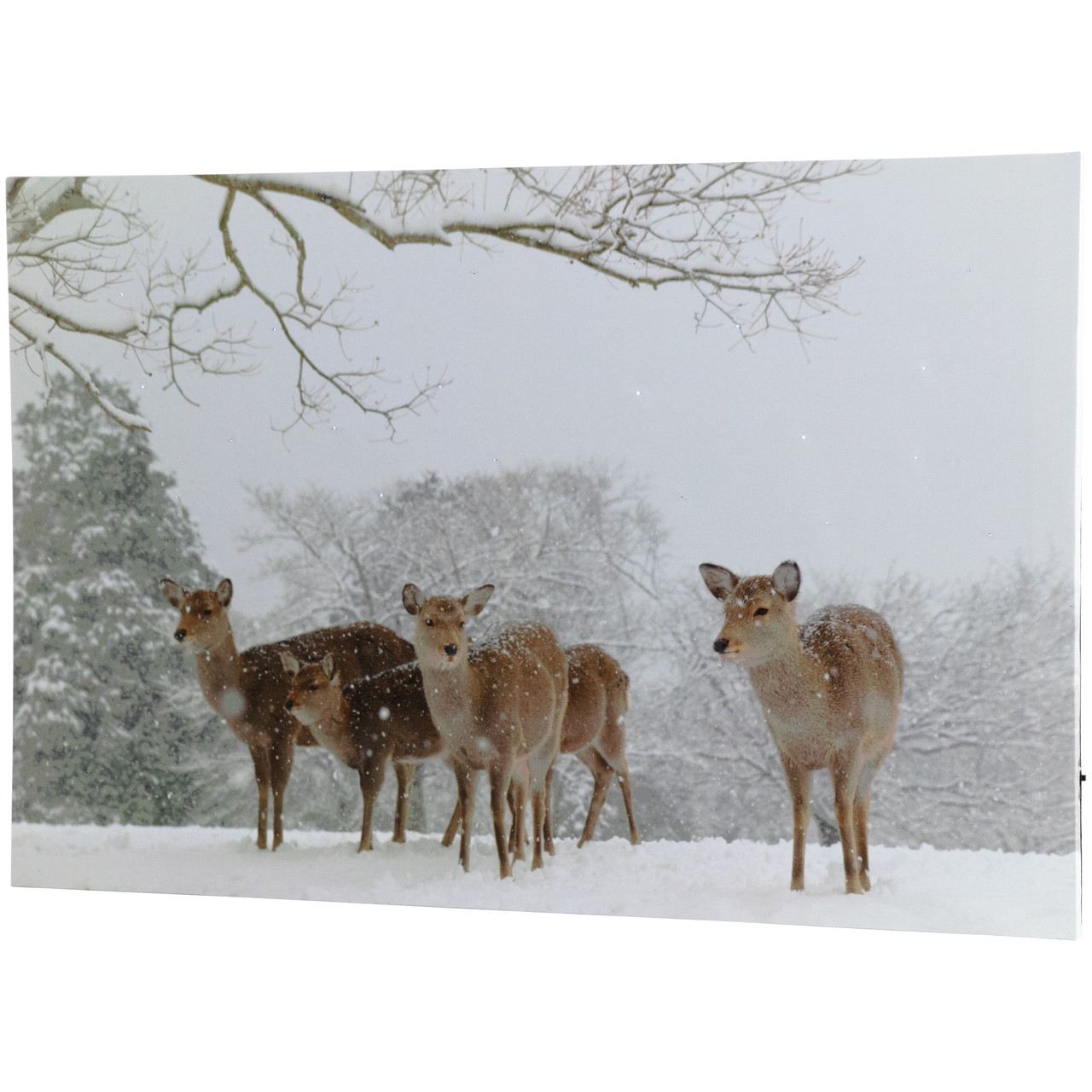 Large Fiber Optic Lighted Winter Woods With Deer Canvas Wall Art