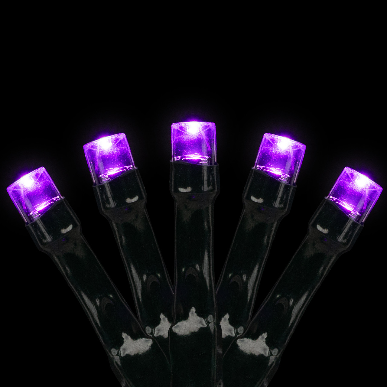 20 count LED Wide angle Halloween lights, purple