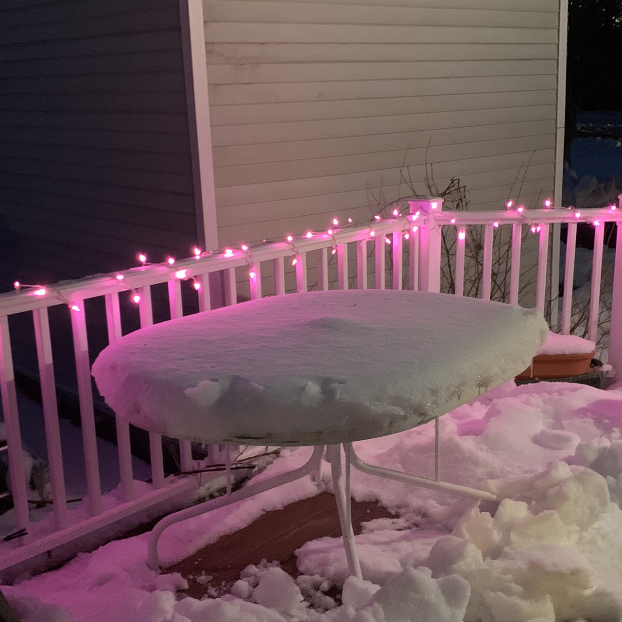 100 Pink Led Mini Christmas Lights 33 Ft White Wire Christmas Central