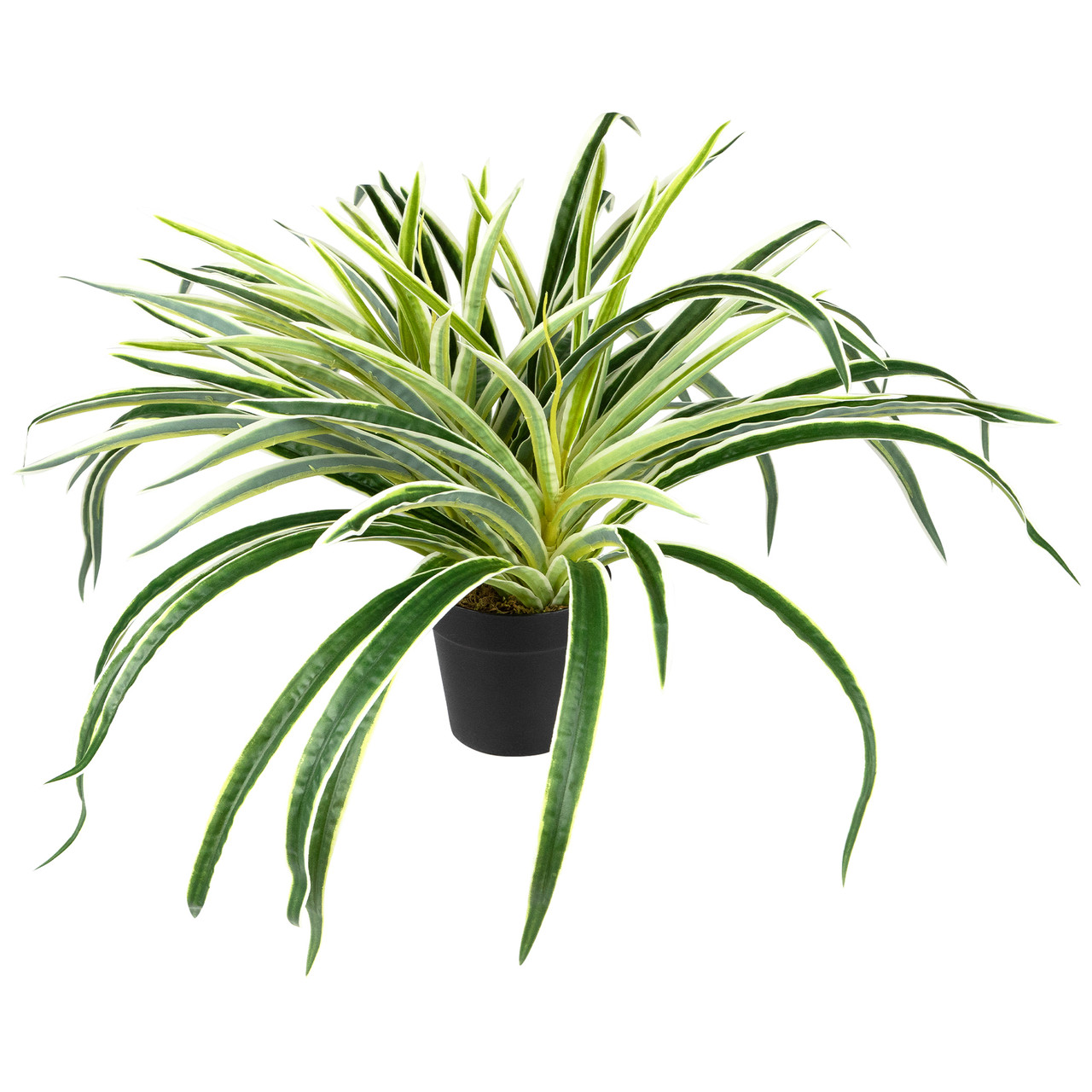 clay planter pot Fibrecotta Round Citrus Planter (H60 x Ø67 cm) main image 1