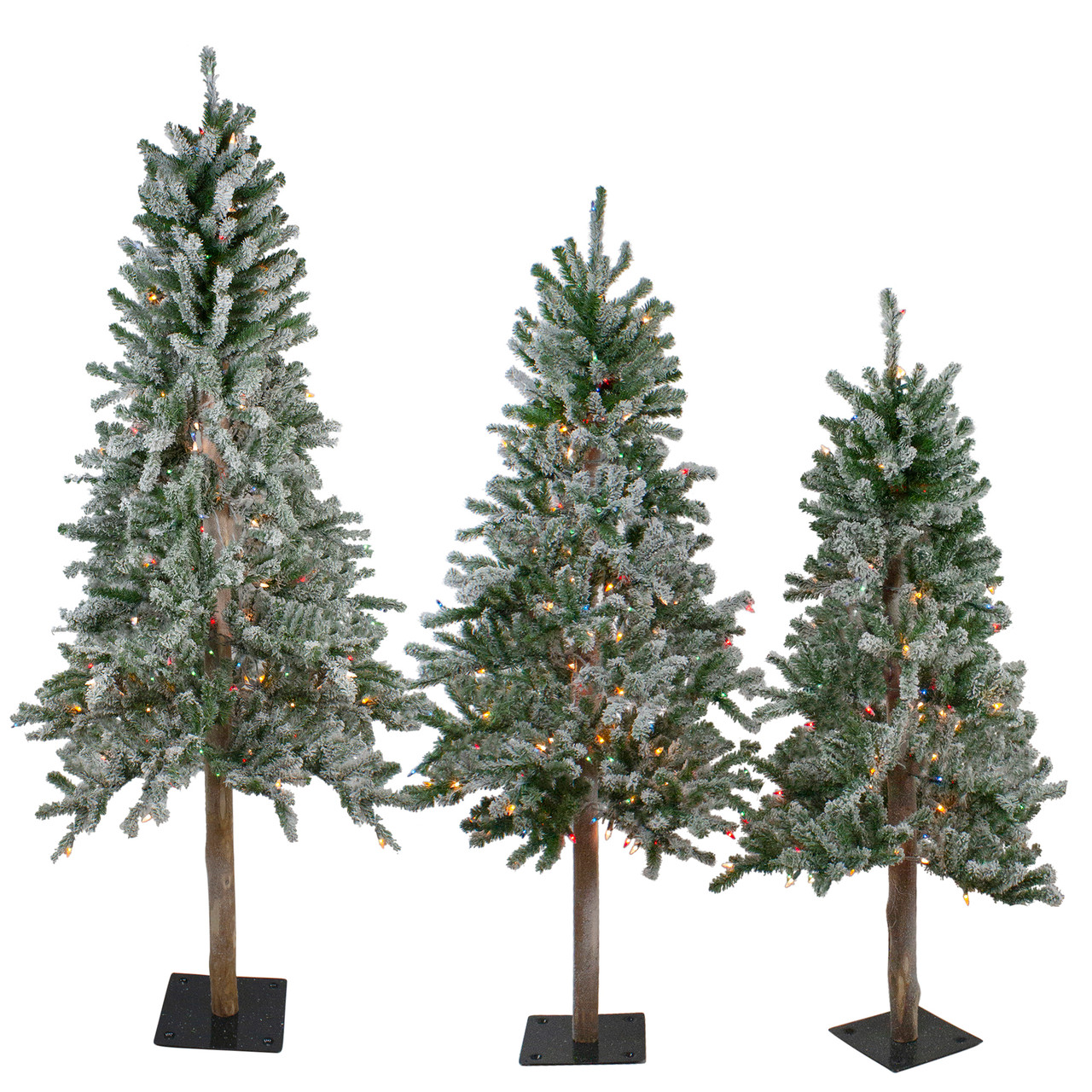5 Facts About Flocked Christmas Trees - Christmas Central