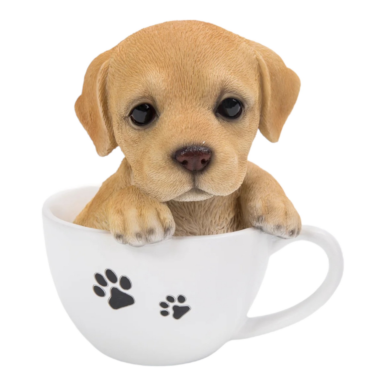 teacup labrador retriever