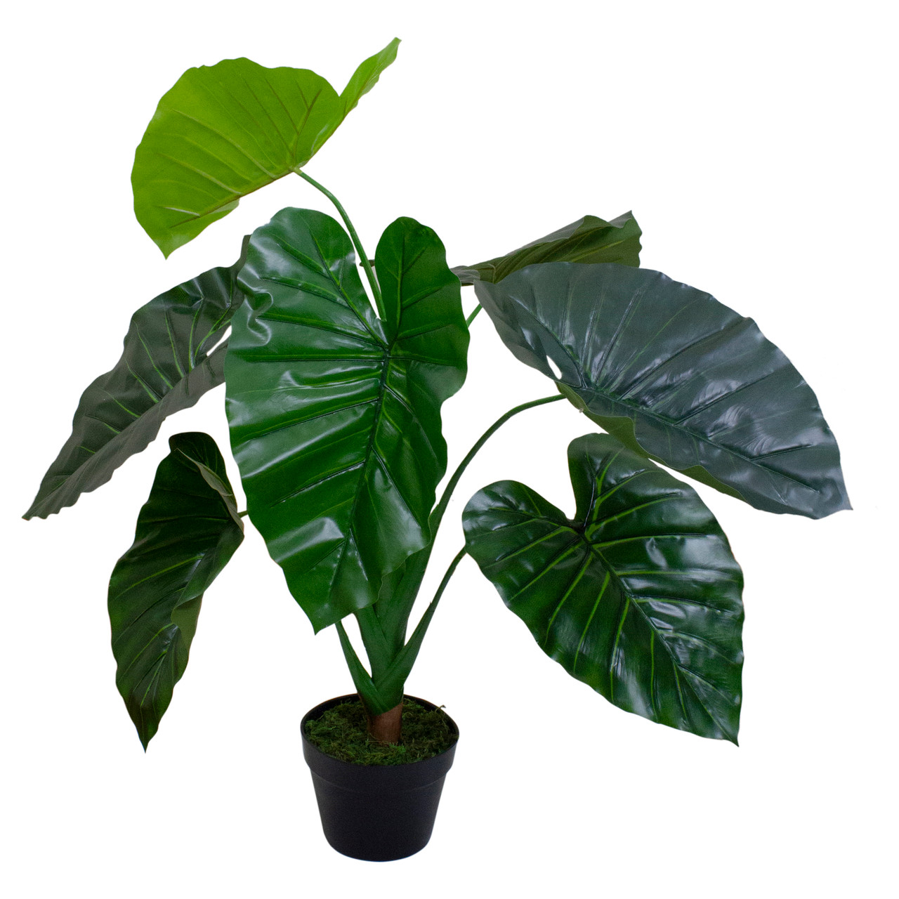 plant shelf indoor window For the middle of the window, Oak window Shelf, Sturdy-Safe support leg,  Plant Shelf, No tools main image 0