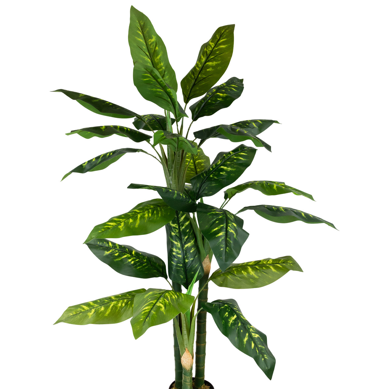 Wide Leaf Artificial Dieffenbachia Potted Plant - 59"