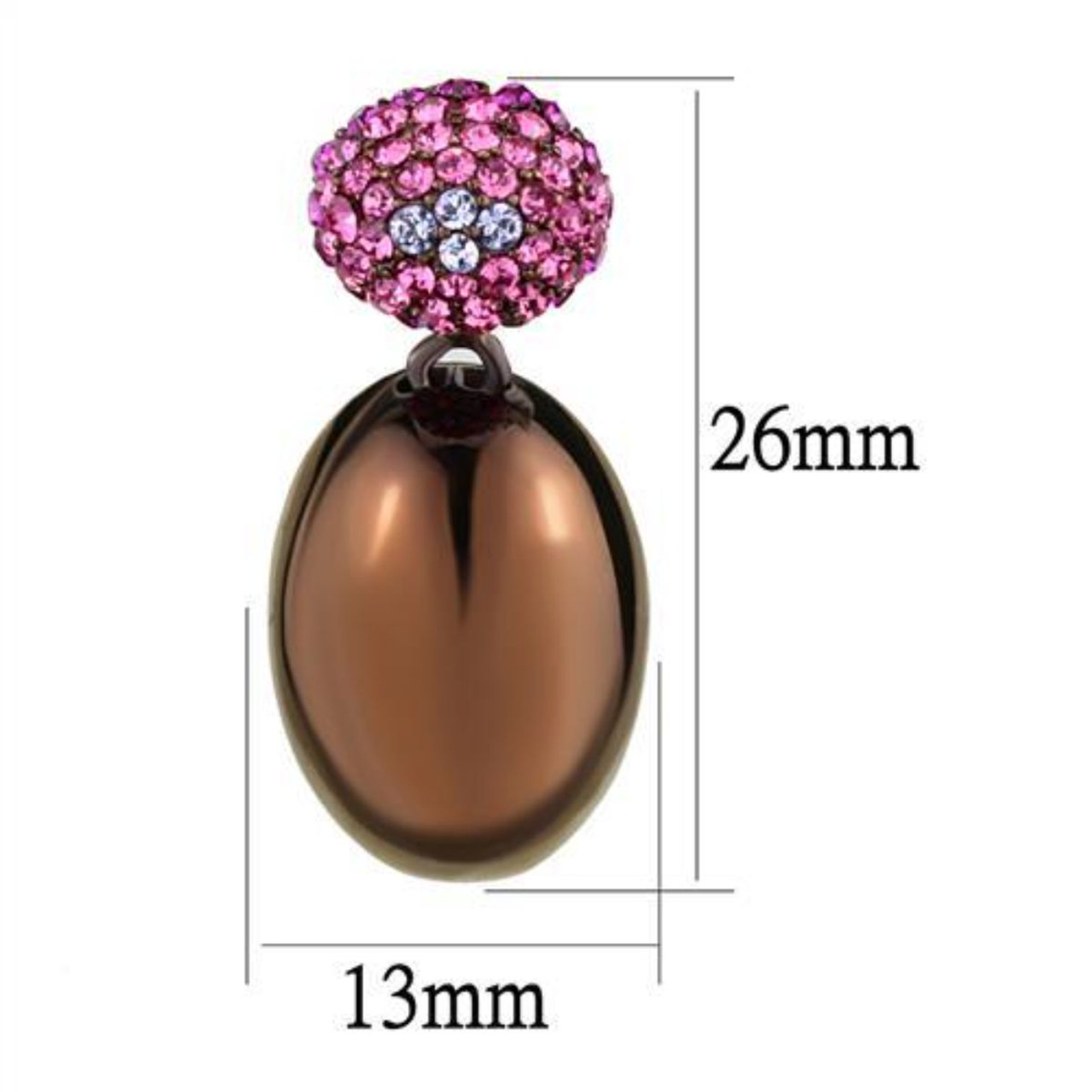 Stainless Steel IP Light Coffee Stainless Steel Women's Earrings with