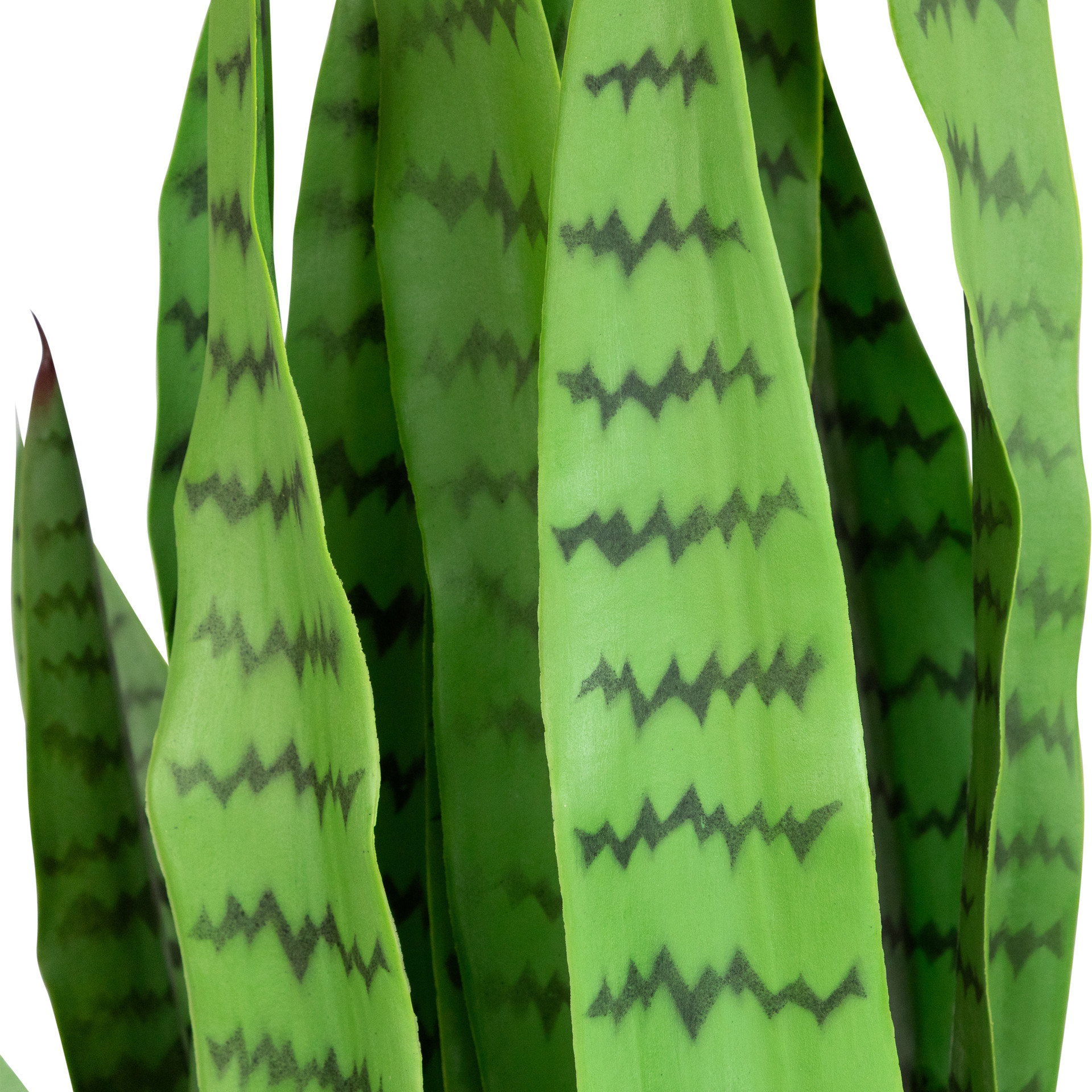 3' Green Two Tone Potted Artificial Snake Plant Christmas Central