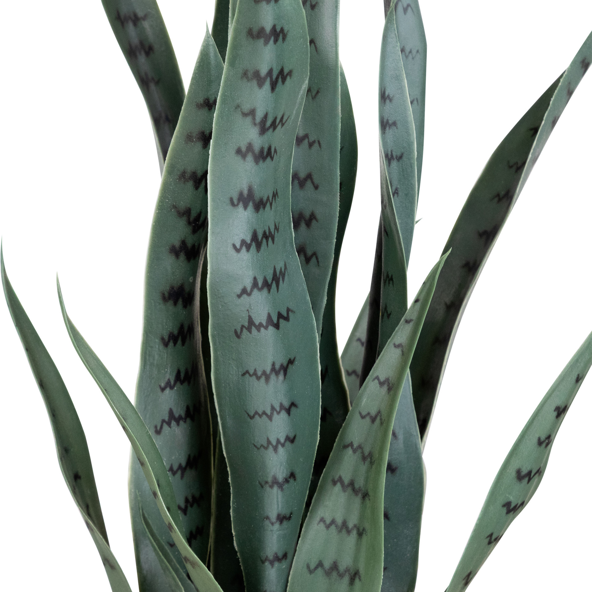 29" Potted Two Tone Green & Black Artificial Snake Plant Christmas