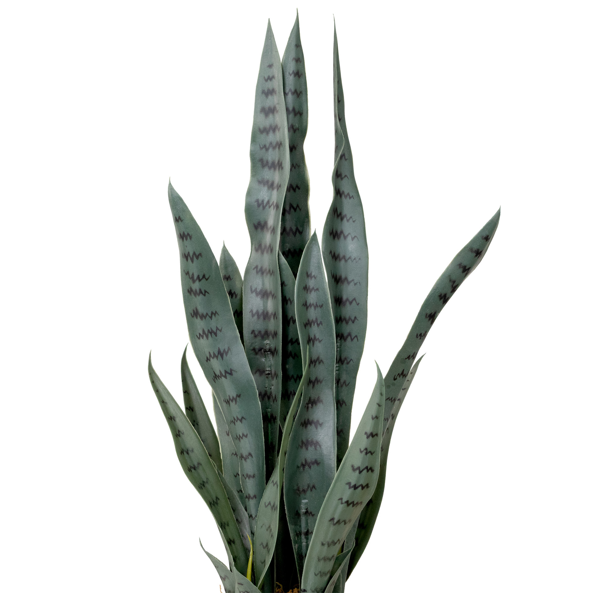 29" Potted Two Tone Green & Black Artificial Snake Plant Christmas