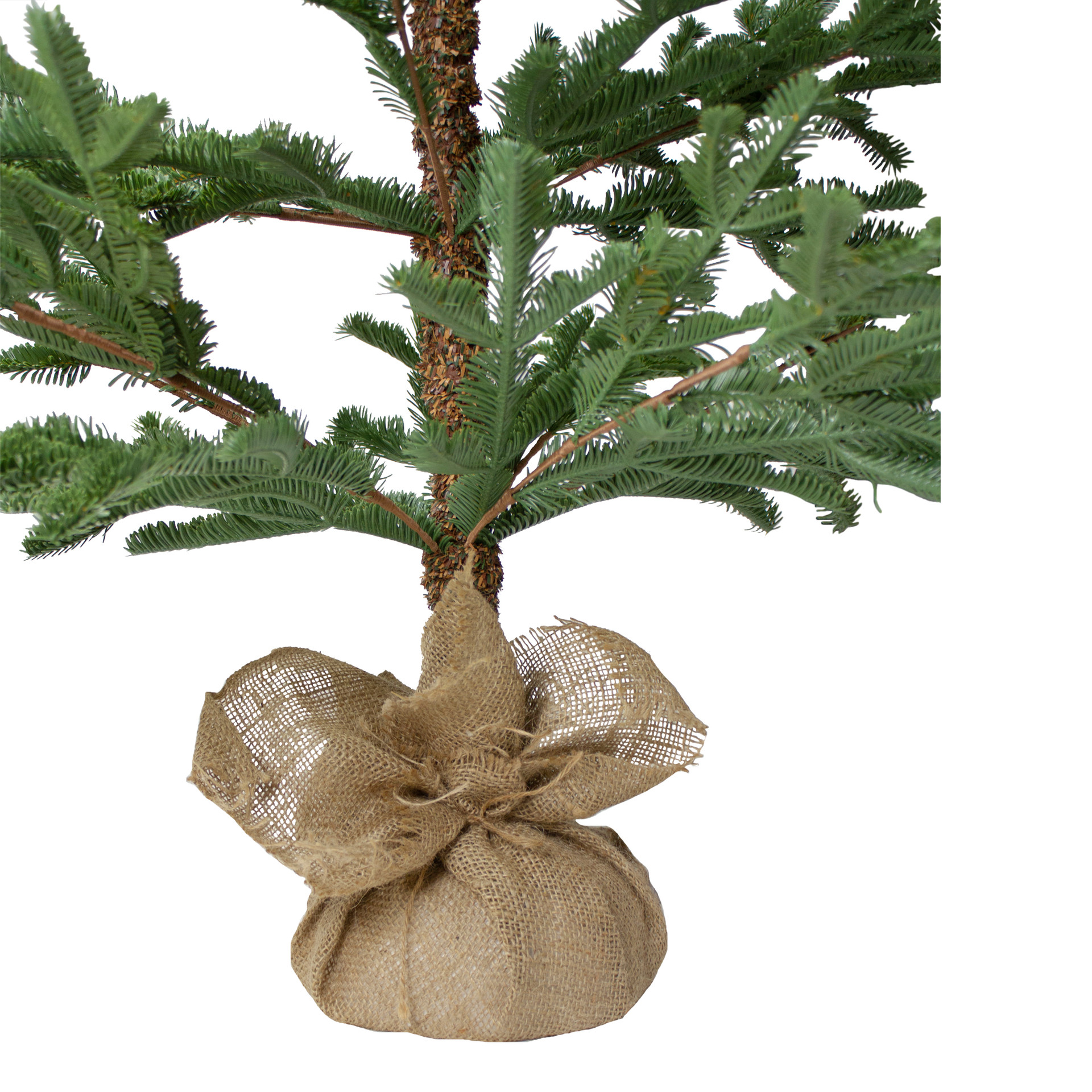 5' Green Ponderosa Pine Artificial Christmas Tree with Jute Base- Unlit ...
