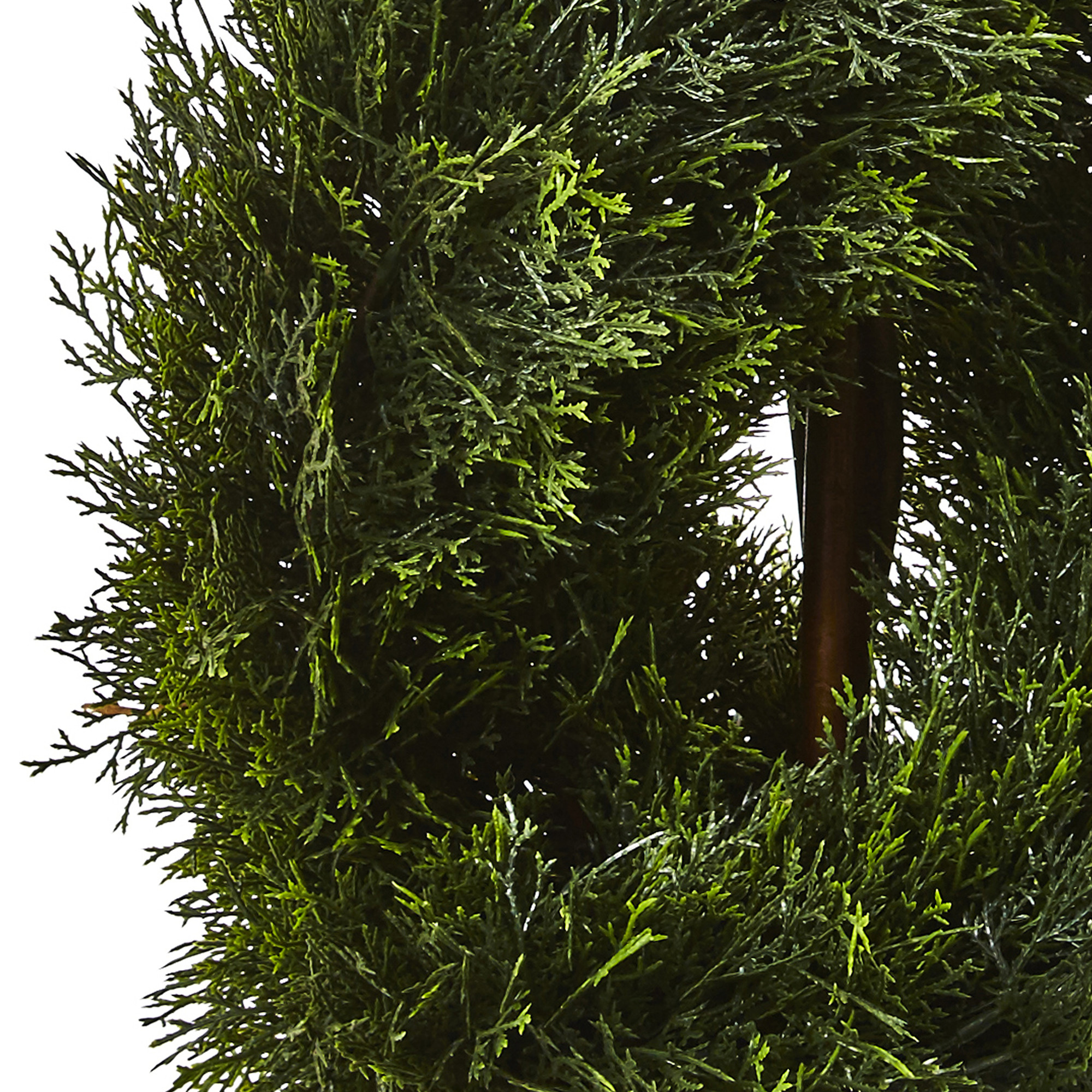 4' Double Pond Outdoor Cypress Spiral Topiary Tree | Christmas Central