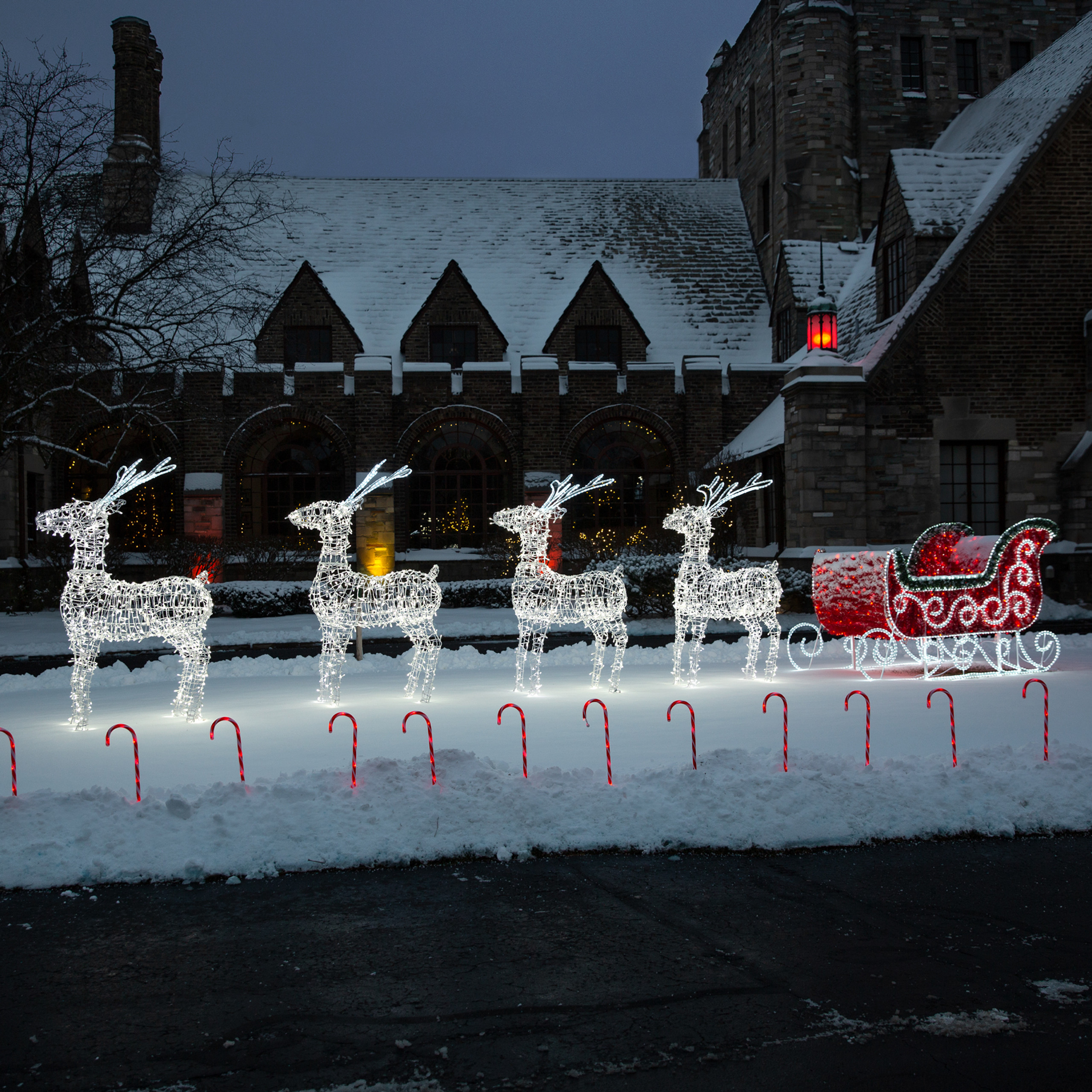 13' PreLit 3D Reindeer & Sleigh Christmas Outdoor Decor Christmas