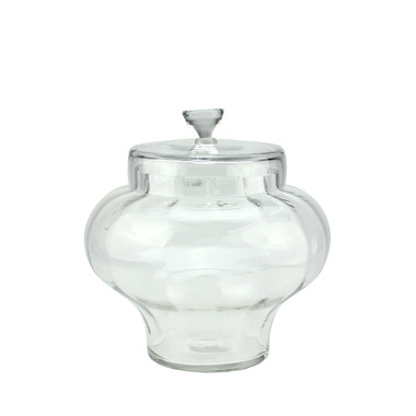 Northlight 14.5 Clear Segmented Glass Container with Lid