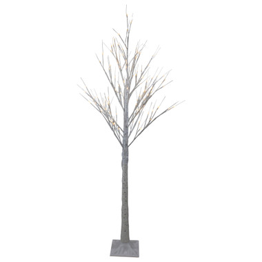 Birch twig, 3-4 ft