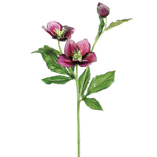 Two-Tone Helleborus Artificial Floral Spray - 22" - Violet - Set of 24 - IMAGE 1
