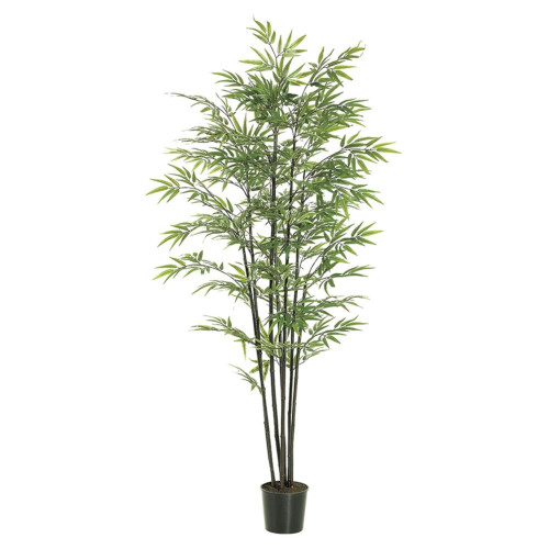 Artificial Potted Bamboo Trees - 6' - Green and Black - Set of 2 - IMAGE 1