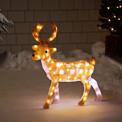 LED Lighted Commercial Grade Acrylic Reindeer Outdoor Christmas Decoration - 24" - IMAGE 1