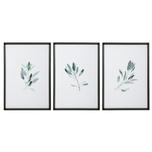 Sage Branch Framed Wall Art - 36.5" x 25.5" - Set of 3 - IMAGE 1