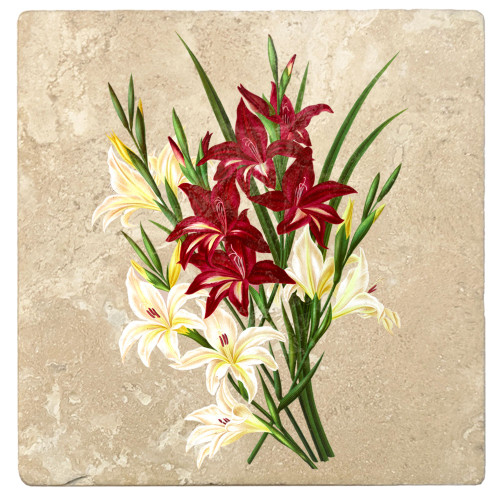 Set of 4 Ivory and Red Gladiolus Square Coasters 4" - IMAGE 1