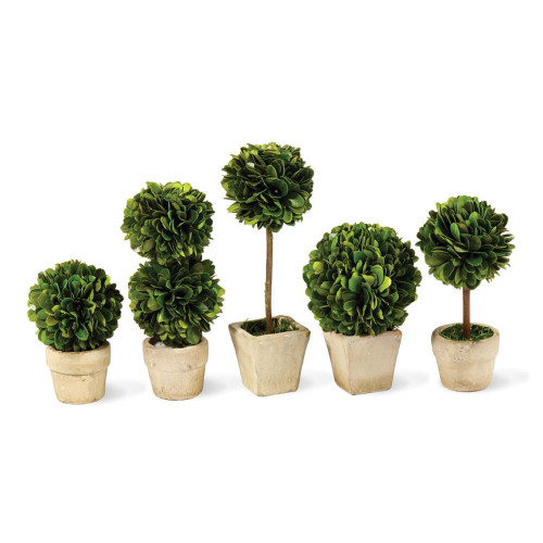 Mini Artificial Boxwood Topiaries in Pots - 7" - Green and Cream - Set of 5 - IMAGE 1