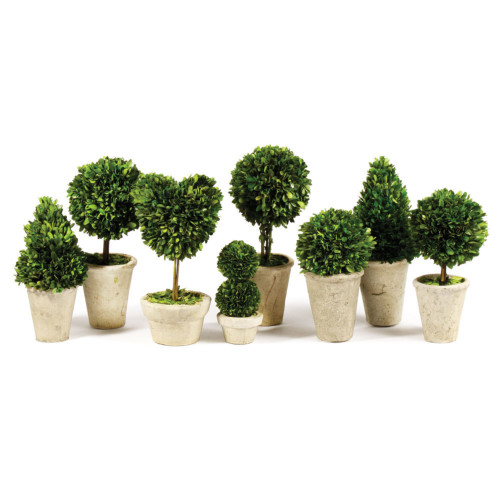 Artificial Boxwood Topiaries in Pots - 16" - Green and Cream - Set of 8 - IMAGE 1