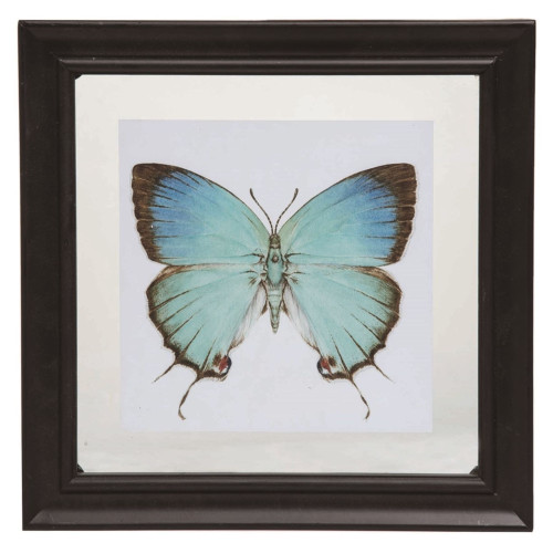 Blue Butterfly Floating Framed Square Wall Art 11" x 11" - IMAGE 1