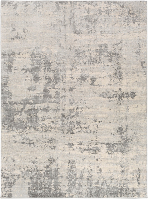 2' x 3' Gray and Beige Distressed Area Throw Rug - IMAGE 1