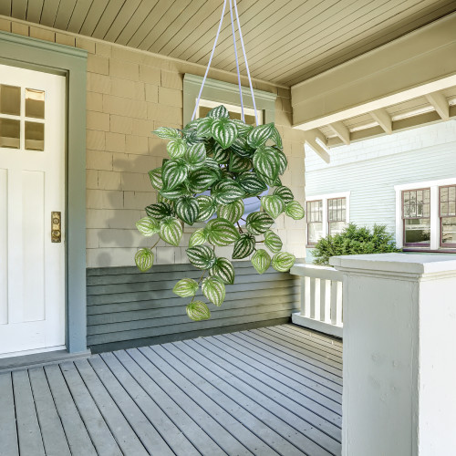 Artificial Peperomia Watermelon Leaves Spray  - 16" - Green - IMAGE 1