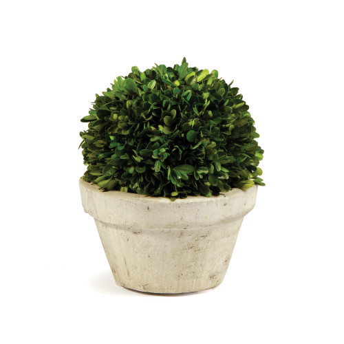 Large Boxwood Ball Topiary with Pot - 30" - Cream and Green - IMAGE 1