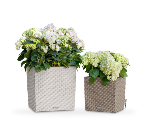 12" Sand Brown All In One Cube Wicker Planter - IMAGE 1