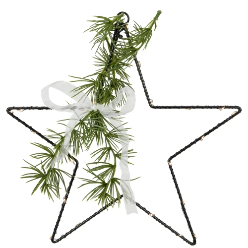 LED Lighted Star with Rosemary Sprig Christmas Decoration - 11" - Warm White - IMAGE 1