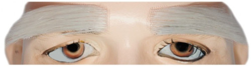 White Santa Eyebrow Adult Men Christmas Costume Accessory - IMAGE 1