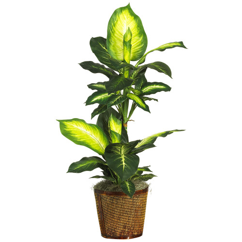 3.5' Artificial Golden Dieffenbachia Silk Plant with Basket - IMAGE 1