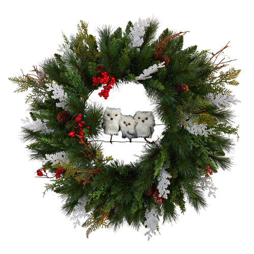 Pinecones and Berries with Owl Artificial Christmas Wreath, 24-Inch, Unlit - IMAGE 1