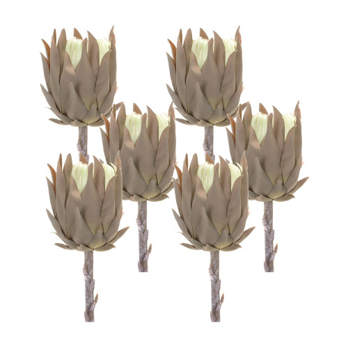 Set of 6 Protea Floral Artificial Stems 20" - IMAGE 1