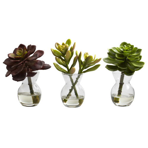 Set of 3 Succulent Artificial Flower Arrangements in Vases 6" - IMAGE 1