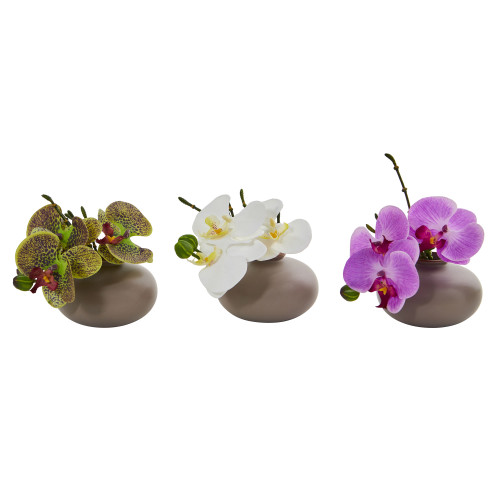 Set of 3 Phalaenopsis Orchid Artificial Floral Arrangements in Vases 7" - IMAGE 1