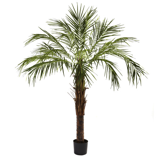 6' Robellini Palm Artificial Potted Tree - IMAGE 1