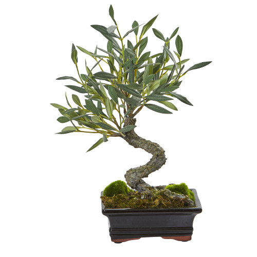 13" Artificial Mini Olive Bonsai Tree in Black Planter - IMAGE 1