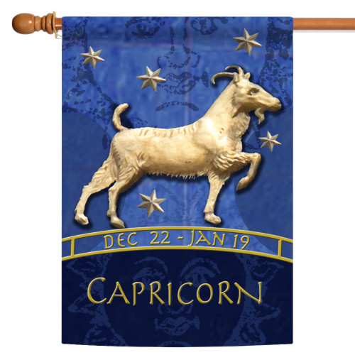 Blue and Gold Capricorn Zodiac Outdoor House Flag 40" x 28" - IMAGE 1