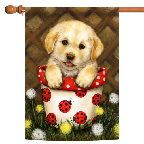 Brown and Red Potted Puppy Outdoor House Flag 40" x 28" - IMAGE 1