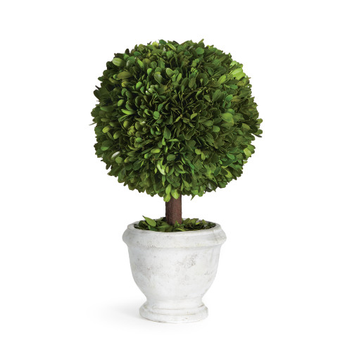 Boxwood Single Ball Topiary with Pot - 9" - Green and White - IMAGE 1
