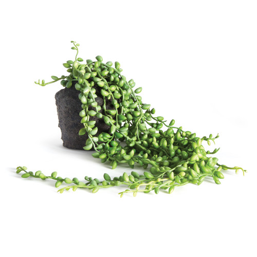Artificial String of Pearls Plant Drop-In - 26" - Green - IMAGE 1