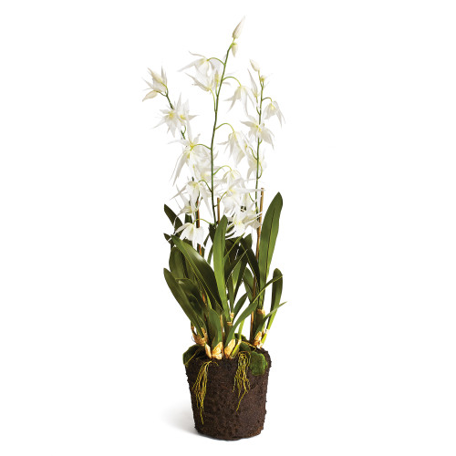 Spider Orchid Floral Drop-In - 8.25" - Yellow and Green - IMAGE 1