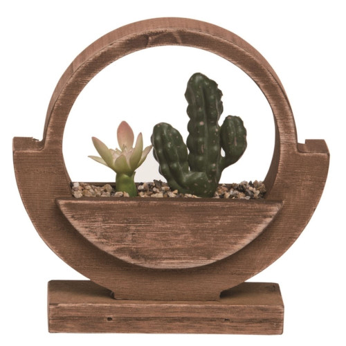 Double Succulents in Wooden Planter - 5.75" - IMAGE 1