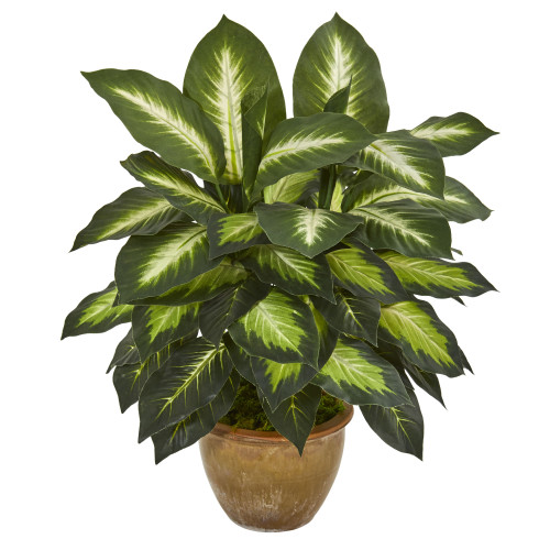 18" Dieffenbachia Artificial Plant in Ceramic Planter - IMAGE 1